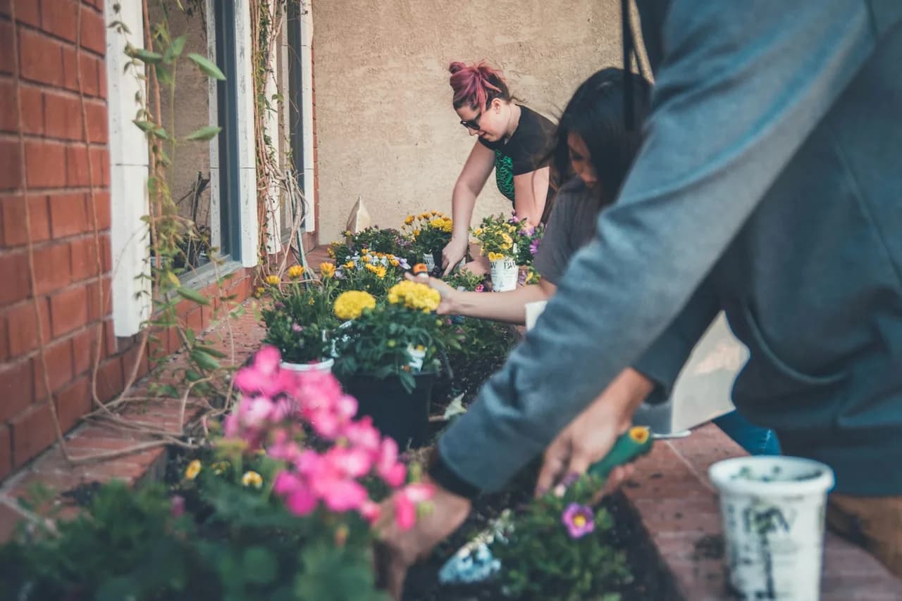 Menschen pflanzen gemeinsam in einem Gemeinschaftsgarten