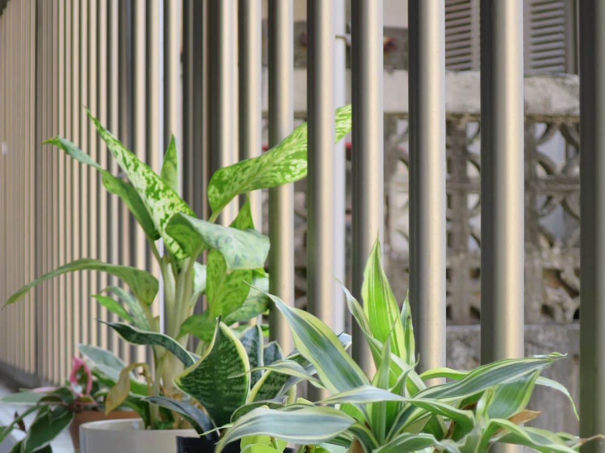Kräuter und Gemüse in Töpfen auf einem Balkon